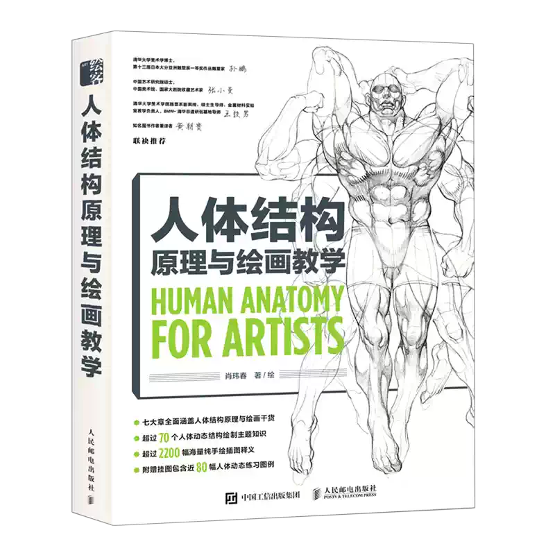 人体结构原理与绘画教学初学者素描基础入门教材书