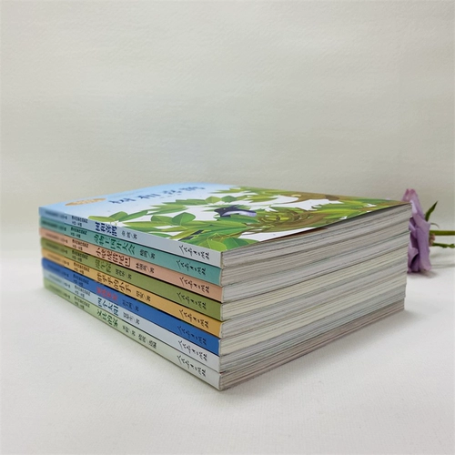 Первый класс должен читать из классных книг и читать канцелярские товары, версию домашнего тона дерева и фестиваля лодок -драконов со Скад, маленький геккон, заимствующий Царство животных, Руллевая летняя ночь