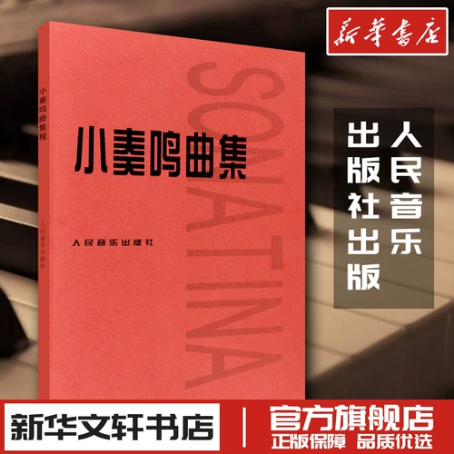 Сборка Сяо Соната Коллекция Bywa Piano Basic Lutorial Harong Piano Fingers Red Book Bachs 599 People's Music Publishing Dovity Учеть