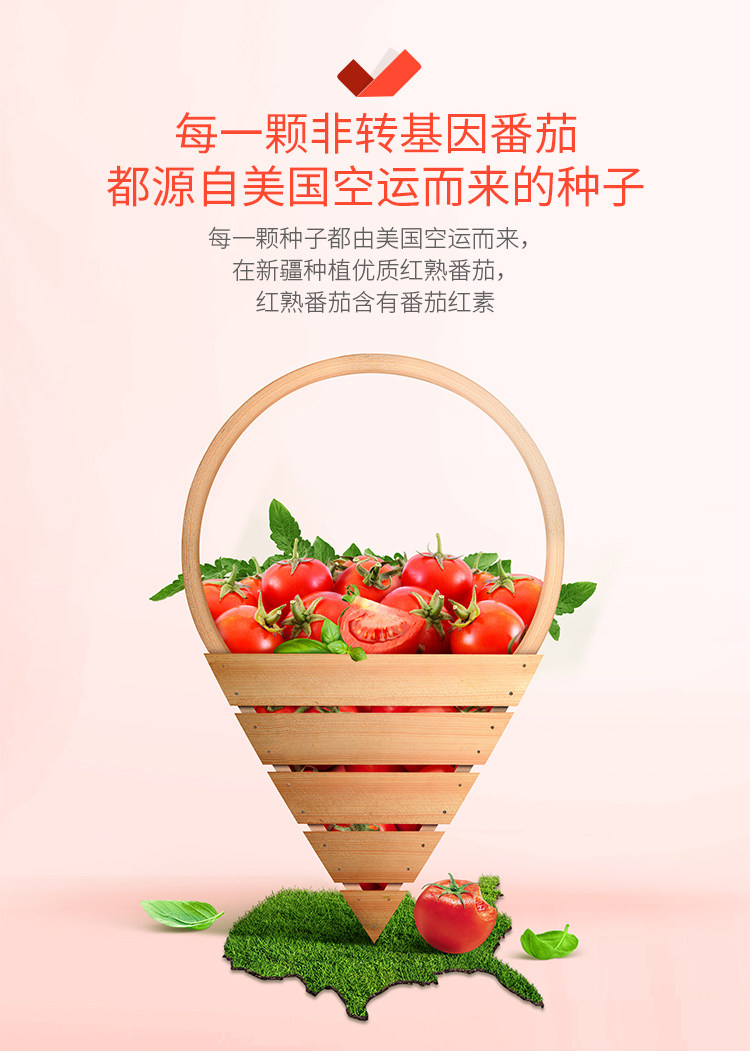 亨氏 番茄沙司挤压装 320g*4袋 图5