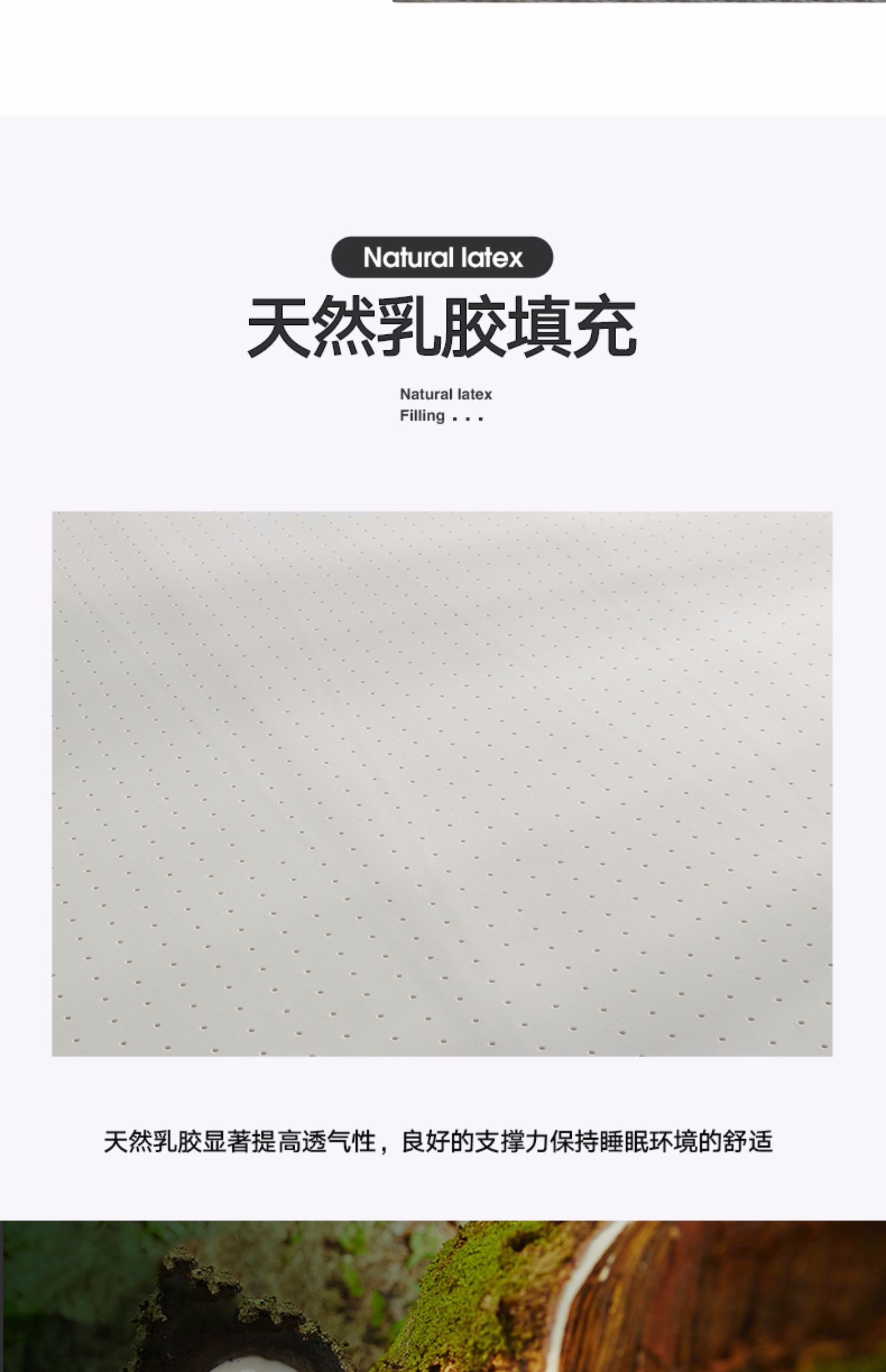 Nệm cao su Thái Nam cực nệm Upholstered Giường nhíp Pad Double Home Summer Folding Mat Bảo vệ Pad - Nệm đệm trải giường