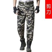 Ножницы, штаны