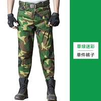 Одиночные брюки-грин зеленые