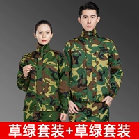 Трава зеленый+трава зеленый 2 набор