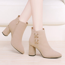 High heels womens thick heels frosted suede womens shoes spring and autumn boots 2021 new fashion all-match beige pointed boots