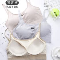 Cool Womens Underwear Beauty Back Bra Integrated Vest Girl fixed cup Anti-walking light harness 9072 9073