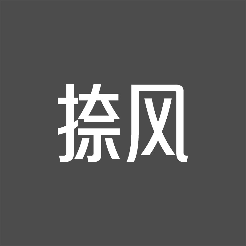 捺风音频专业厂家的LOGO