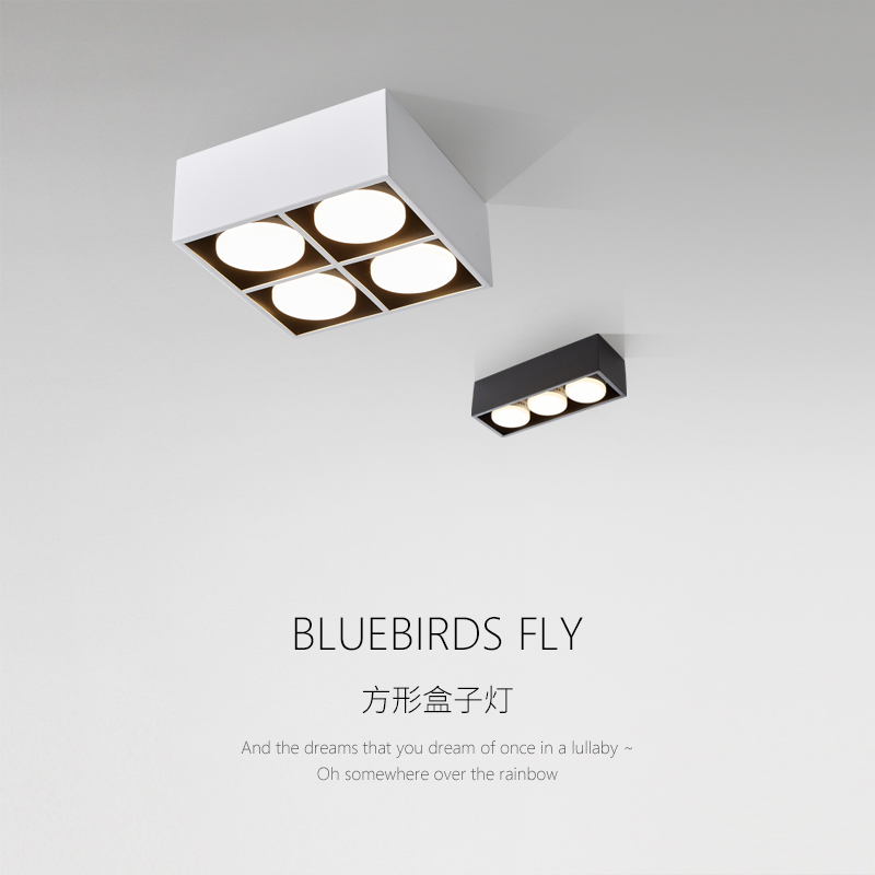 Extremely minimalist living-room Ming fitting no main lamp square box light bucket liner lamp led grid light suction top spot light household cylinder light