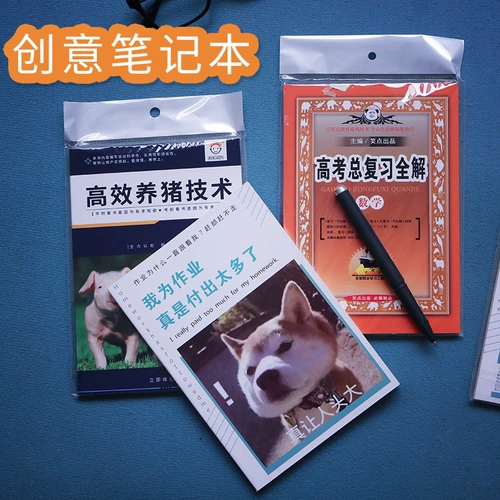 Выпускные сувениры Творческие сквофные скульптуры для отправки мальчиков в подарки на день рождения мальчиков, странная смешная новинка