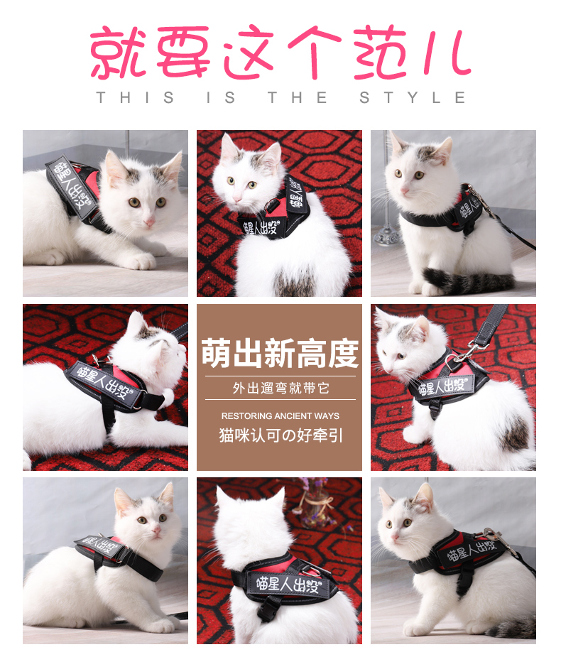 Cat dây xích phá vỡ miễn phí đặc biệt trượt mèo dây cắm mèo mèo cung tie ngực dây đeo cổ áo mèo dây mèo - Cat / Dog hàng ngày Neccessities 	bát đựng thức ăn cho mèo