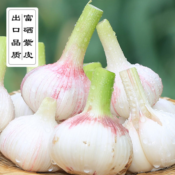 出口级品质 产地直供金乡富硒紫皮新鲜大蒜 7斤 ¥29.9包邮 出口级品质 产地直供金乡富硒紫皮新鲜大蒜 7斤 ¥29.9包邮