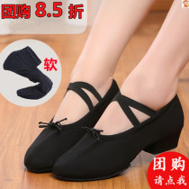 Dance shoes womens soft bottom floor indoor practice belt and teacher shape training shoes adult middle and folk dance