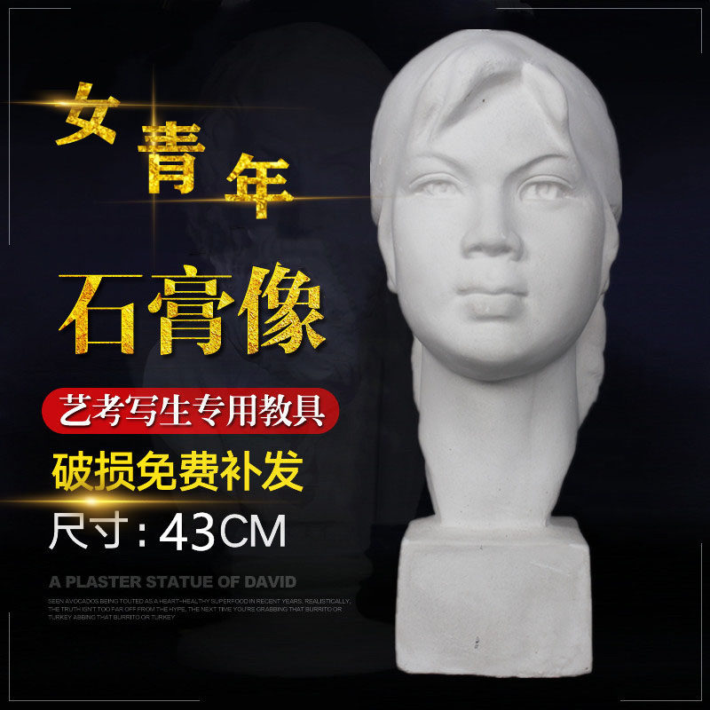 Female child plaster like sketching sculptural small plaster like a fine art room assorted equipment to write a Nordic female youth avatar
