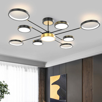 Living room chandelier led light luxury modern simple creative high-end fashion Aluminum Hall home Nordic restaurant lighting