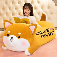 Милая модель Шиба Ину. Ты всегда будешь моим ребенком