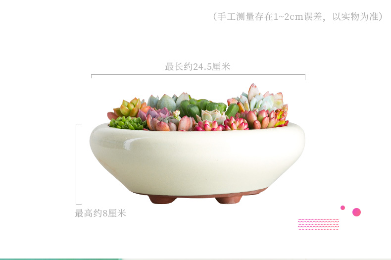 Extra large fleshy plant pot coarse pottery flowerpot is much meat on sale green plant contracted creative other platter ceramics