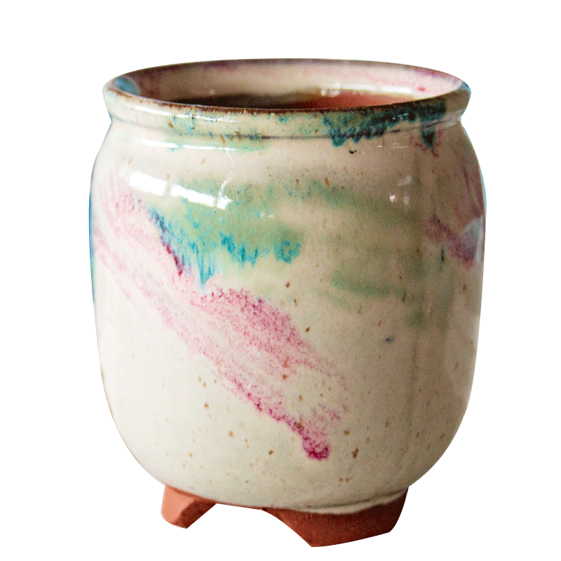 Meaty plant flower pot is more than meat flowerpot coarse pottery ceramic simple plastic new small green the plants in large move