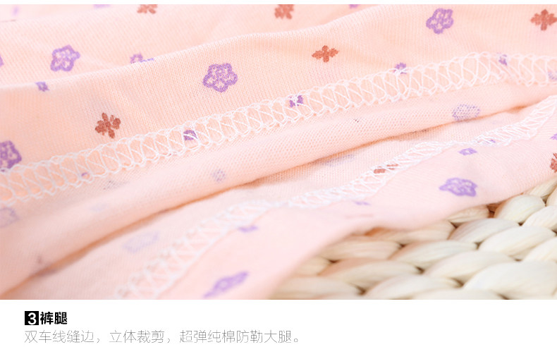 Slip Moyen-âge FDD6003K en coton - Ref 645077 Image 16