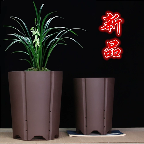 Самостоятельный бутик -бутик -бутик -фиолетовый песчаный горшок с крупным калибром орхидеи мясной горшок с цветочным горшками, джентльменская орхидея керамическая кастрюль