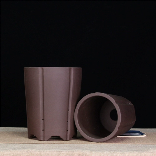 Самостоятельный бутик -бутик -бутик -фиолетовый песчаный горшок с крупным калибром орхидеи мясной горшок с цветочным горшками, джентльменская орхидея керамическая кастрюль