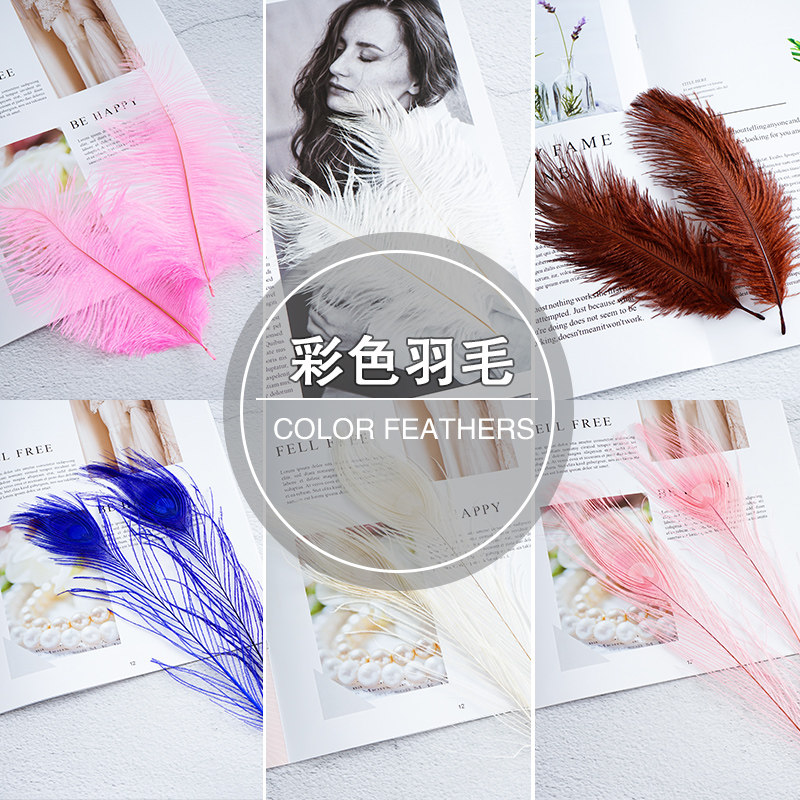 White ostrich feather photo props ins wind net red shooting jewelry Girl cosmetics Nail art photography props