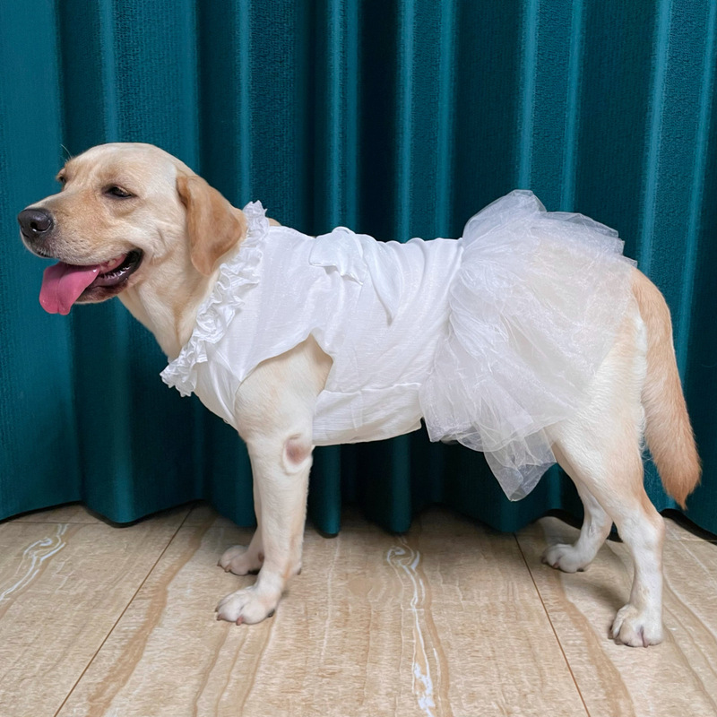 【Milk Tea】Pet Dress Wedding Dress Western Style Sweet Lace Chiffon Large Dog Clothes Golden Retriever Samoyed Alaskan Malamute 【Milk Tea】Pet Dress Wedding Dress Western Style Sweet Lace Chiffon Large Dog Clothes Golden Retriever Samoyed Alaskan Malamute