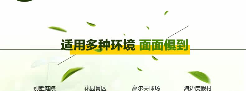 Tmall_17.jpg
