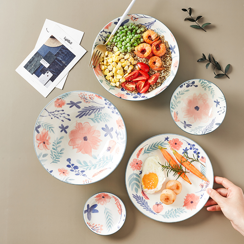 Japanese household hand - made ceramic tableware for a single job in the salad bowl of creative move set bowl plate combination