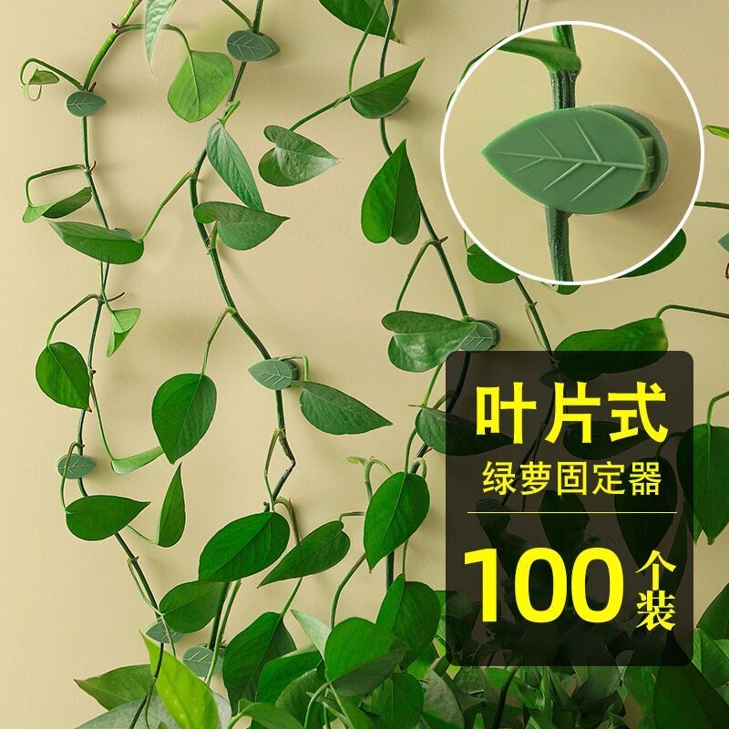 Green Plant Holder Artifact Green Radish Climbing Wall Wire Clip Traceless Card Does Not Damage the Wall Strong Adhesive Hook Winding Buckle