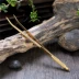 Kung Fu Tea Tea Set Phụ kiện Solid Wood Wash Tea Clip Tre Wood Pure Copper Tea Tea Cup Hazelnut Tea Copper Tea Cup Chủ - Trà sứ