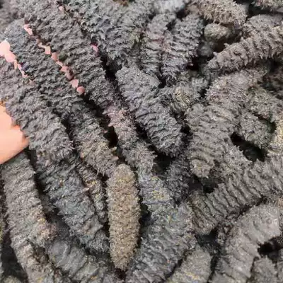 Hualong ginseng antler Bird's Nest thread ginseng 23 a catty 430 yuan 30 years physical store welcome you