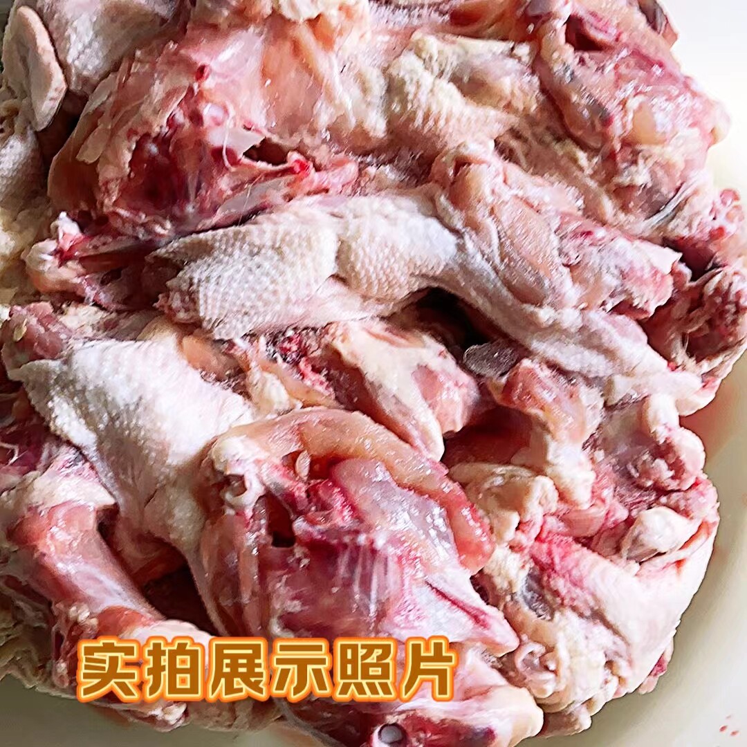 2025最全宠物狗智商排名大盘点，养狗必知的关键真相是什么？-宠物-淘宝百科网