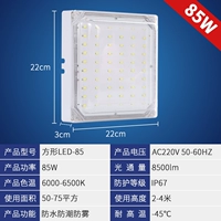 Gao Liang 85 Grand White Light