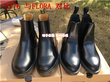 2976 flora