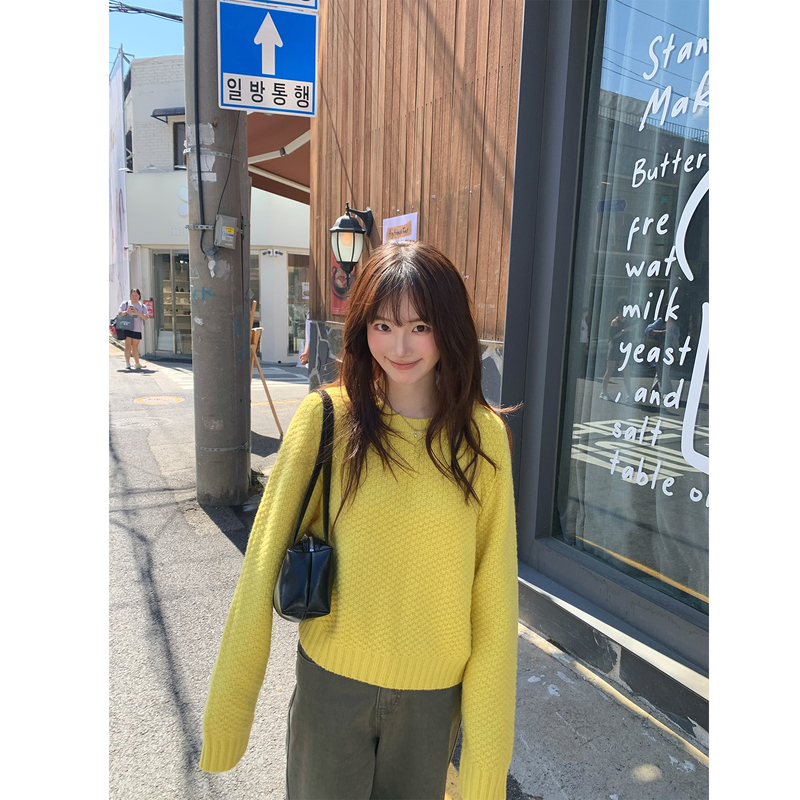One Mint Korean Style Jacquard Round Neck Sweater for Women, Versatile Solid Color Simple Student Autumn and Winter Knit Top