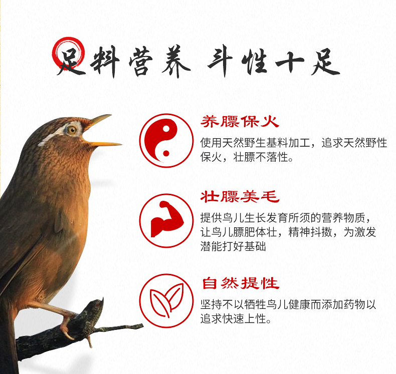 Weibi phiên bản nâng cấp của thức ăn gia cầm thức ăn cho chim hướng dẫn sử dụng thức ăn cho chim hót chim chóc - Chim & Chăm sóc chim Supplies thức ăn chim trĩ