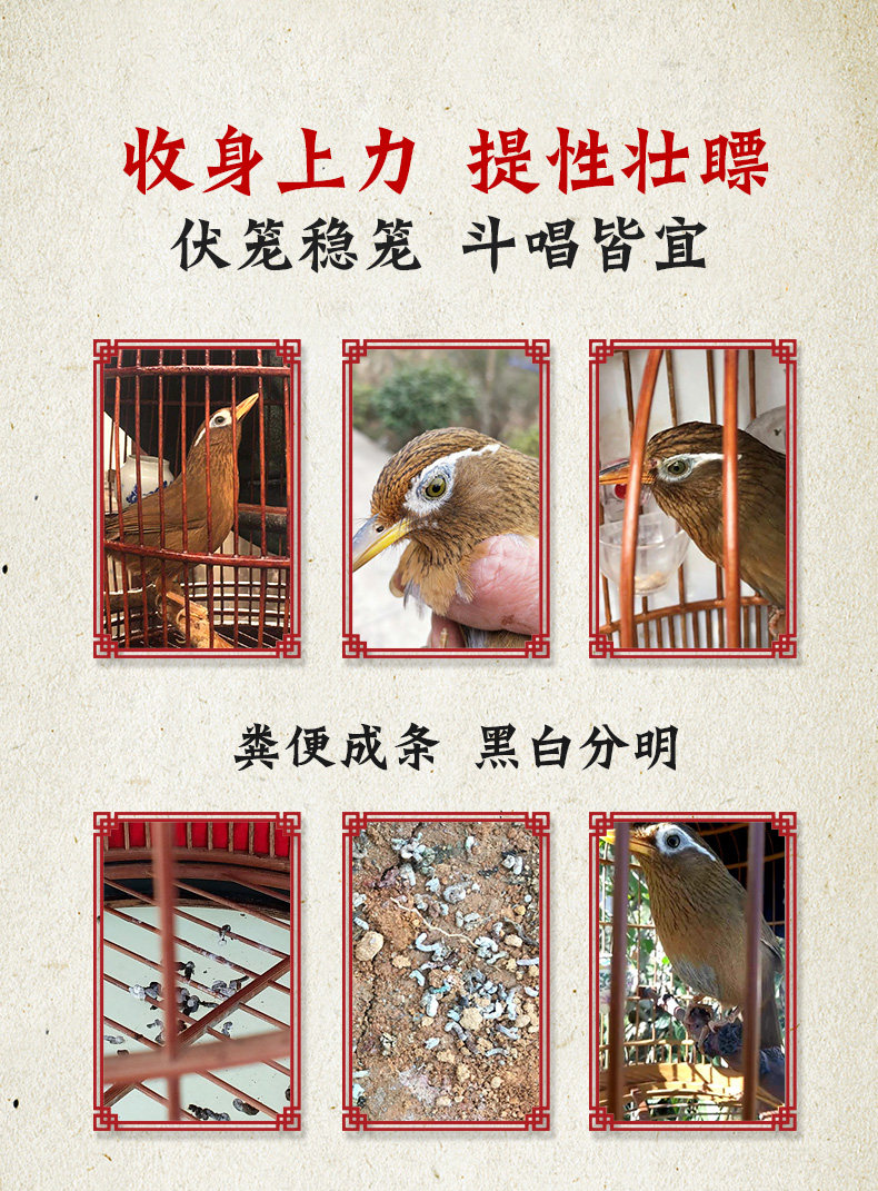 Weibi Dhrush и Bird Food_04.jpg