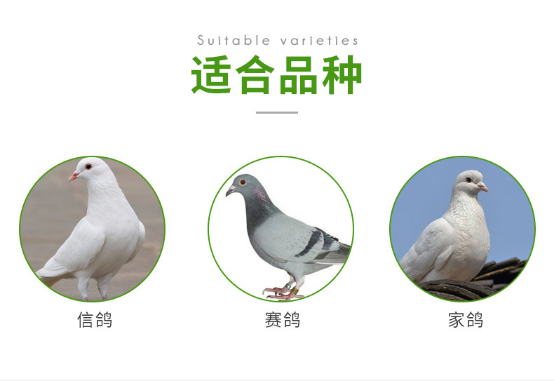 Корм для молодых голубей _04.jpg