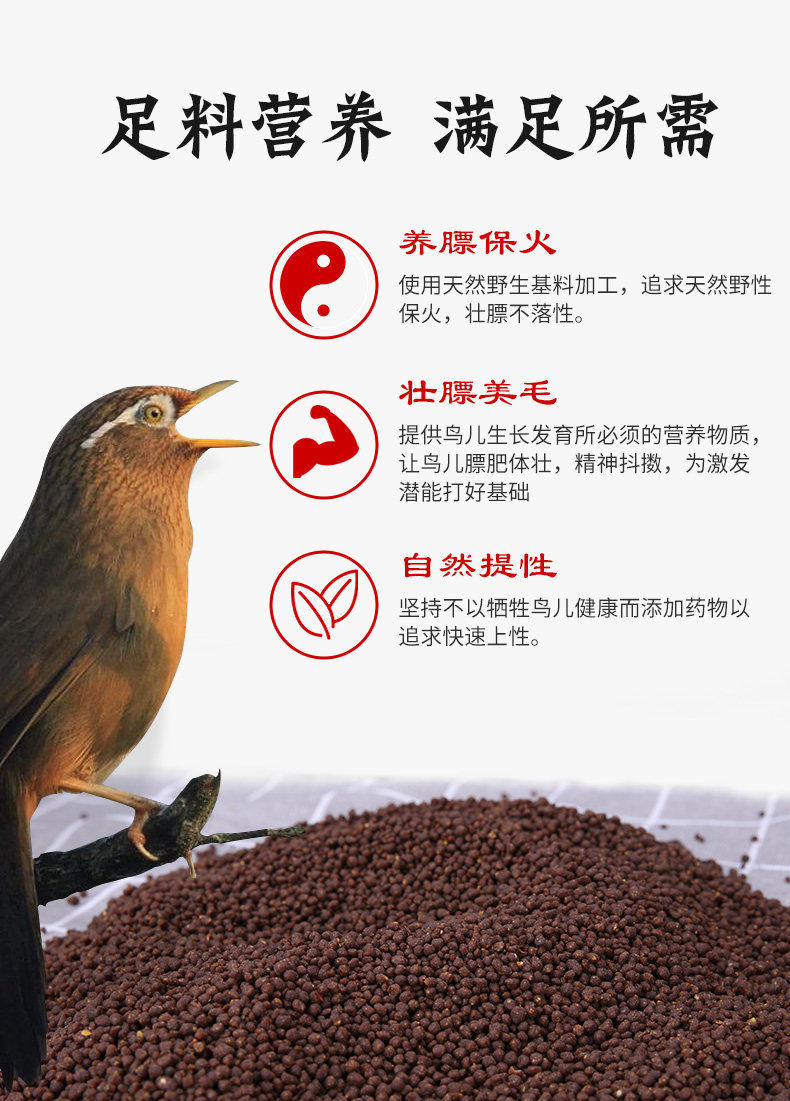 Weili Dhrush и Bird Food_09.jpg