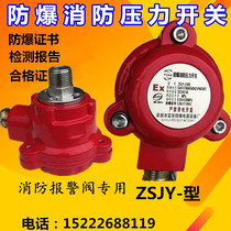 ZSJY fire explosion-proof pressure switch explosion-proof rain shower valve matching DN15 single and double contacts DC24V