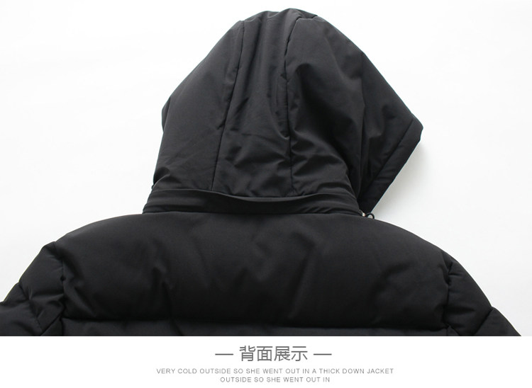 Blouson hiver pour homme   OTHER - Ref 3113363 Image 22