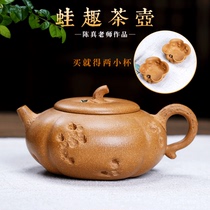 Ziyu Yixing purple clay pot teapot tea set famous Chen Zhenyuan mine section mud handmade boutique Frog fun teapot