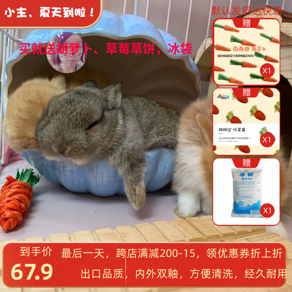 Cabbage Hemp large Number of shells Ceramic cohorts Cat Rabbit Golden Silk Rat Hamster Fire Sunstroke Pink Blue Send Ice Bag