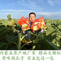 Blow nozzle original cooked melon seeds large particles boutique sunflower seeds 363 thin skin Inner Mongolia bagged New year gift bag