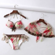 Áo tắm đơn nữ nội địa ba mảnh nữ cảm giác ba điểm bikini Hàn Quốc ngực nhỏ thu thập váy áo tắm 2018