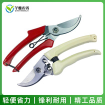 Flower scissors gardening scissors flower arrangement household pruning shears multi-functional fruit tree rough shears