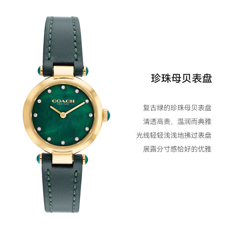 COACH Women's Watch Cary Small Green Watch Mother-Of-Pearl Dial with Diamonds Quartz Women's Watch Gift for Girlfriend