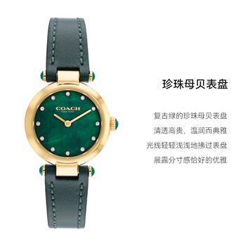 COACH Women's Watch Cary Small Green Watch Mother-Of-Pearl Dial with Diamonds Quartz Women's Watch Gift for Girlfriend