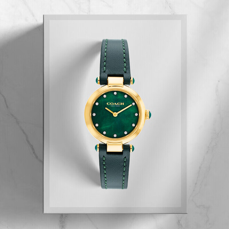 COACH Women's Watch Cary Small Green Watch Mother-Of-Pearl Dial with Diamonds Quartz Women's Watch Gift for Girlfriend