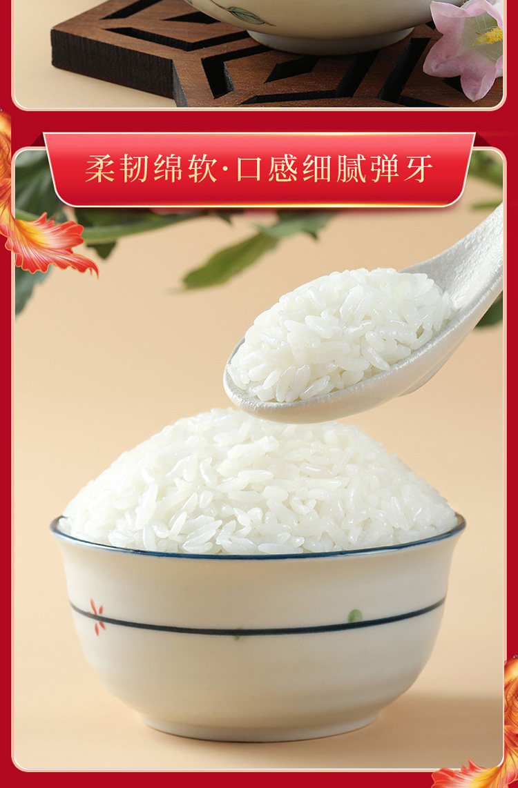 安享好物 安享D级粳米-十月稻田长粒香大米 国标
